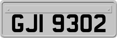 GJI9302