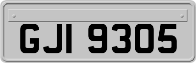 GJI9305