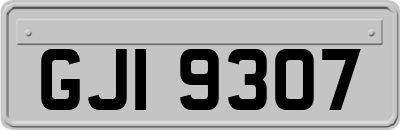 GJI9307