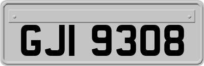 GJI9308
