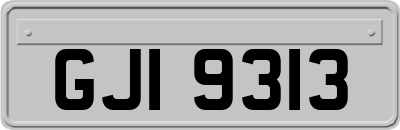 GJI9313