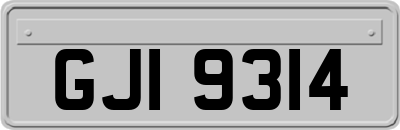 GJI9314