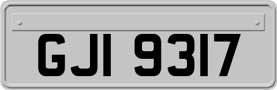 GJI9317