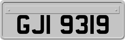 GJI9319