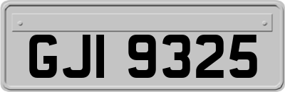 GJI9325