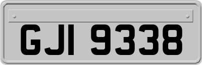 GJI9338