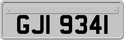 GJI9341
