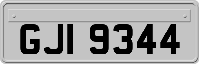 GJI9344