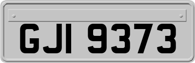 GJI9373