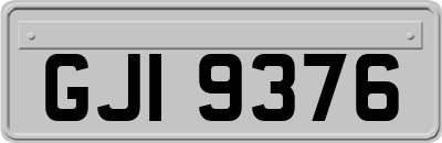 GJI9376