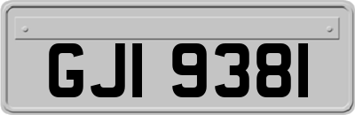 GJI9381