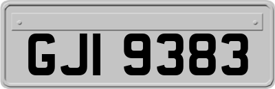 GJI9383
