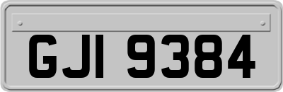 GJI9384