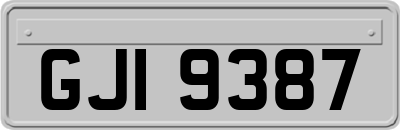 GJI9387