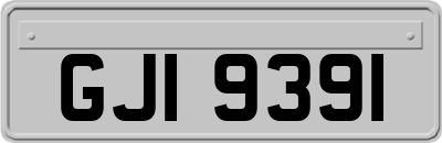 GJI9391