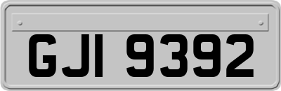 GJI9392