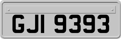 GJI9393