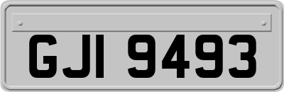 GJI9493