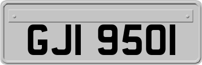 GJI9501