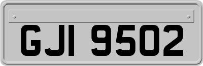 GJI9502
