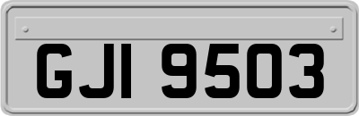 GJI9503
