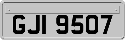 GJI9507