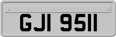 GJI9511