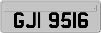 GJI9516