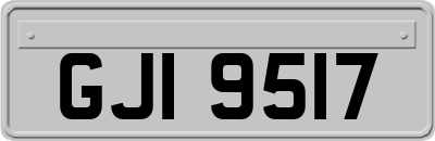 GJI9517