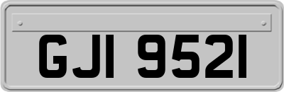 GJI9521