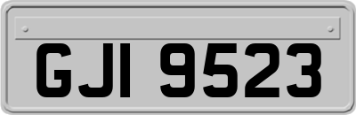 GJI9523