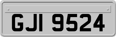 GJI9524