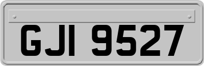 GJI9527