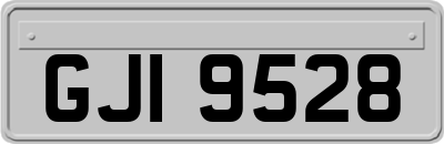 GJI9528