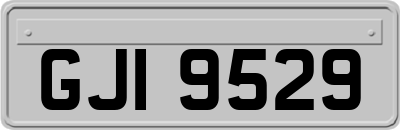 GJI9529