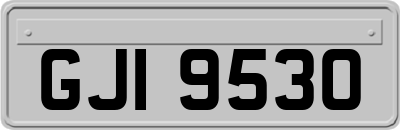 GJI9530