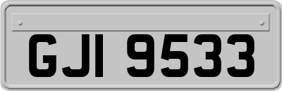 GJI9533