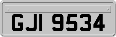 GJI9534