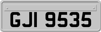 GJI9535