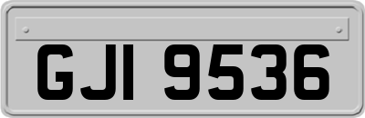 GJI9536