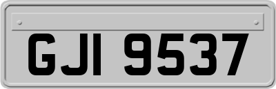 GJI9537