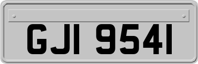 GJI9541