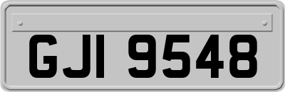 GJI9548