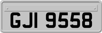 GJI9558