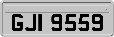 GJI9559
