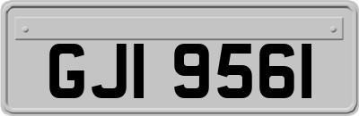 GJI9561