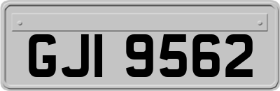 GJI9562