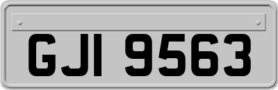 GJI9563