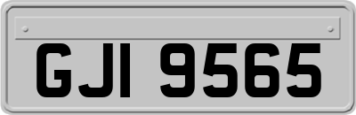 GJI9565