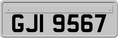 GJI9567